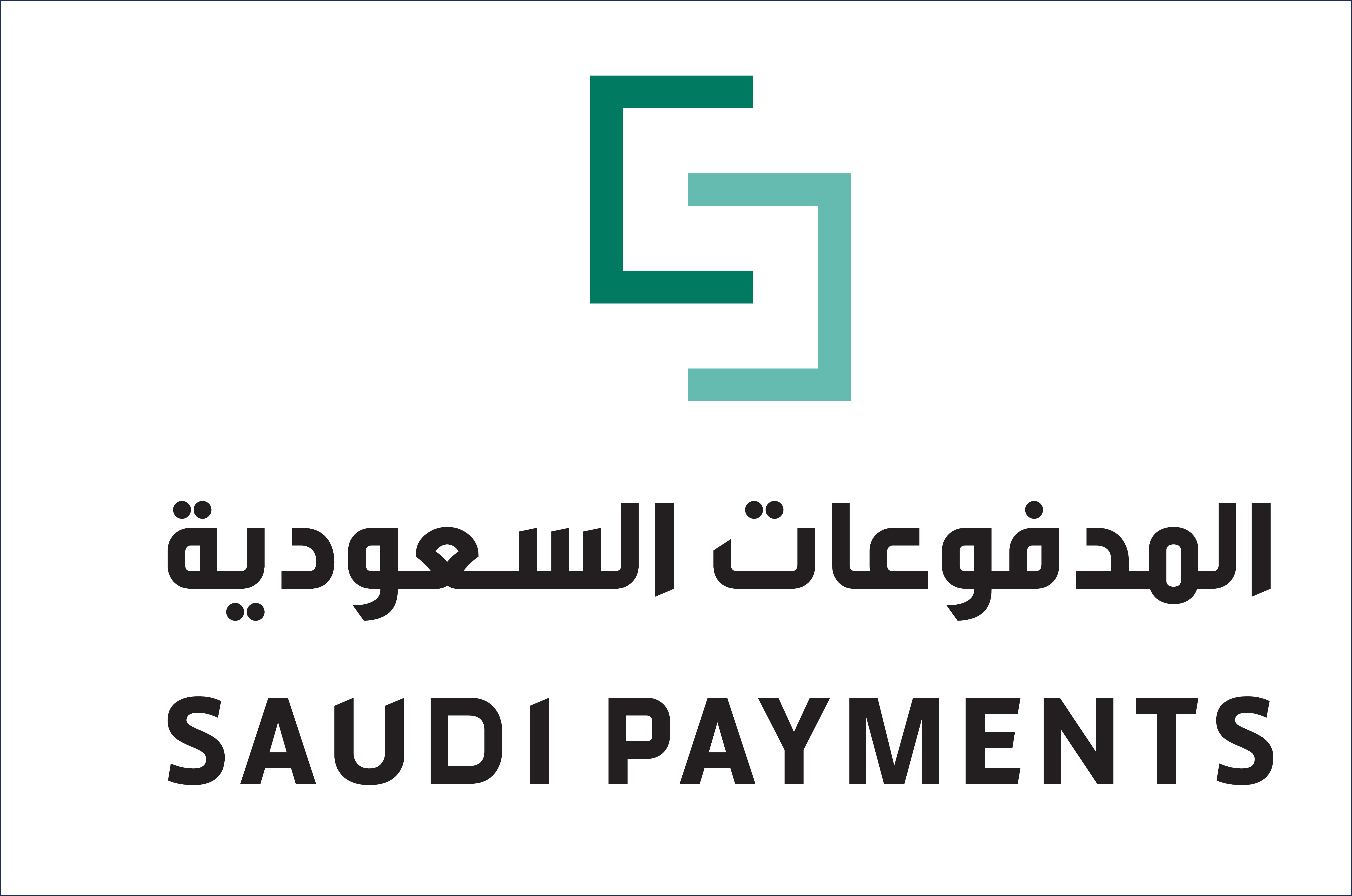 Saudi Payments